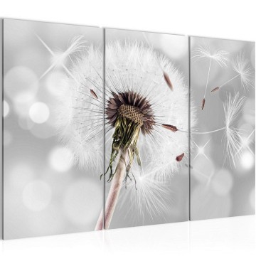 Canvas schilderij paardenbloem 7 130 x 80 cm 211231