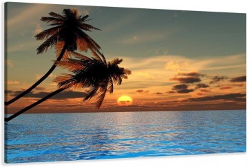 Canvas schilderij palmbomen 80 x 60 cm 4144