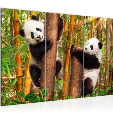 Canvas schilderij panda 1 130 x 80 cm 014231