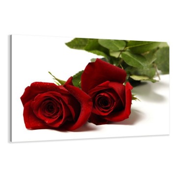 Canvas schilderij rozen 120 x 80 cm 5095