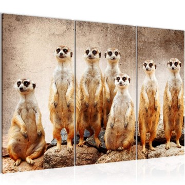 Canvas schilderij stokstaartje 1 130 x 80 cm 005531