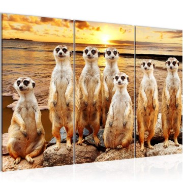 Canvas schilderij stokstaartje 2 130 x 80 cm 005531