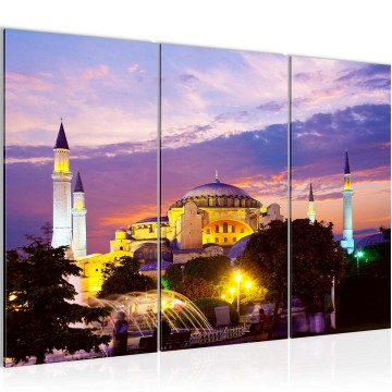 Canvas schilderij turkije istanboel 13 130 x 80 cm 604631