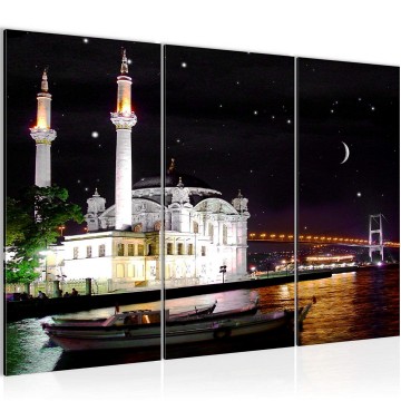 Canvas schilderij turkije istanboel 8 130 x 80 cm 602031