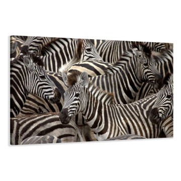 Canvas schilderij zebra 120 x 80 cm 5104
