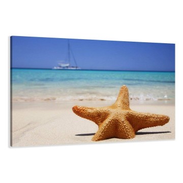 Canvas schilderij zeester 120 x 80 cm 5115