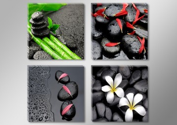 Set 4 stuks Hot Stones 30 x 30 cm