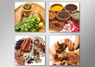 Set 4 stuks Kruiden 30 x 30 cm