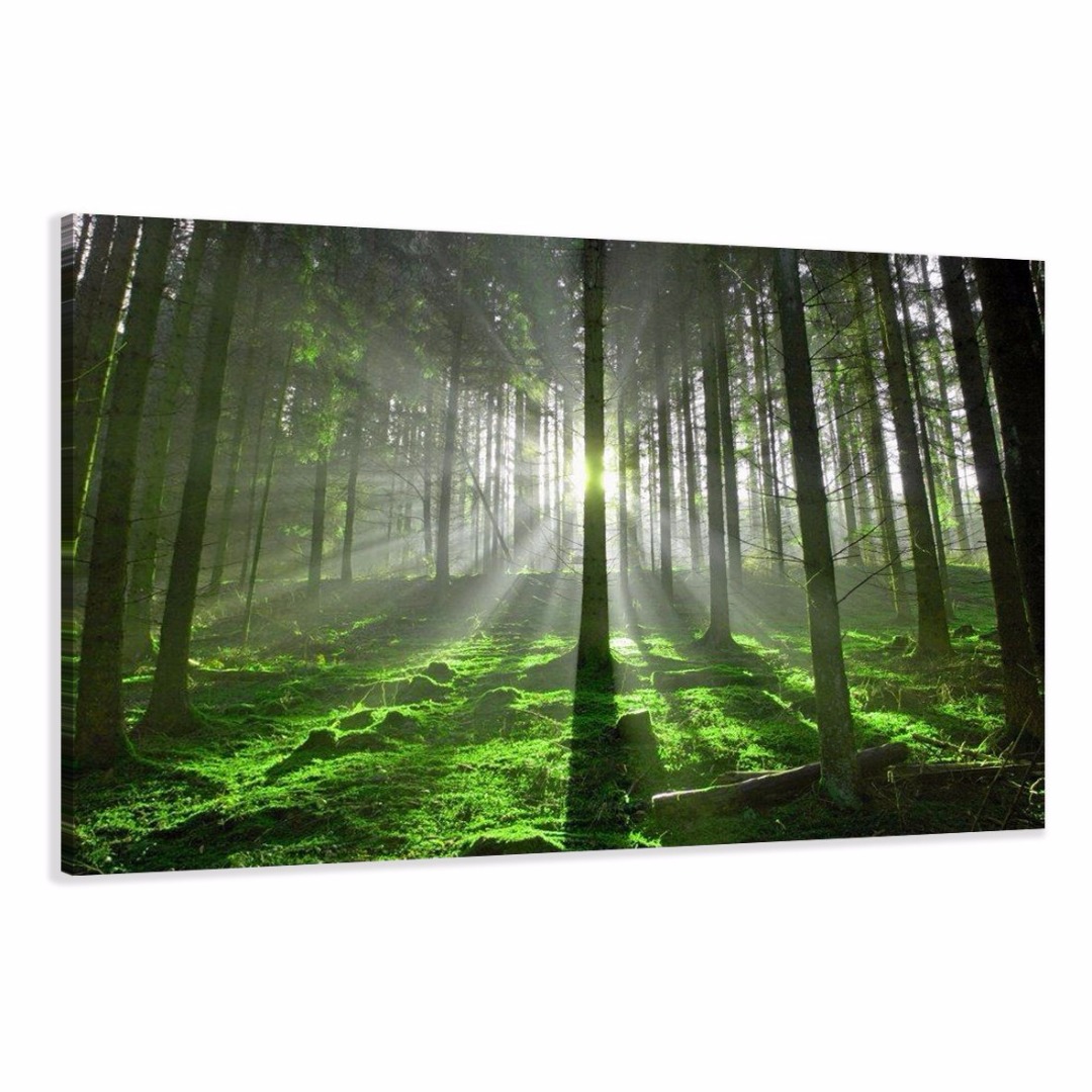 Groen Bos 120 x 80 cm - Gratis