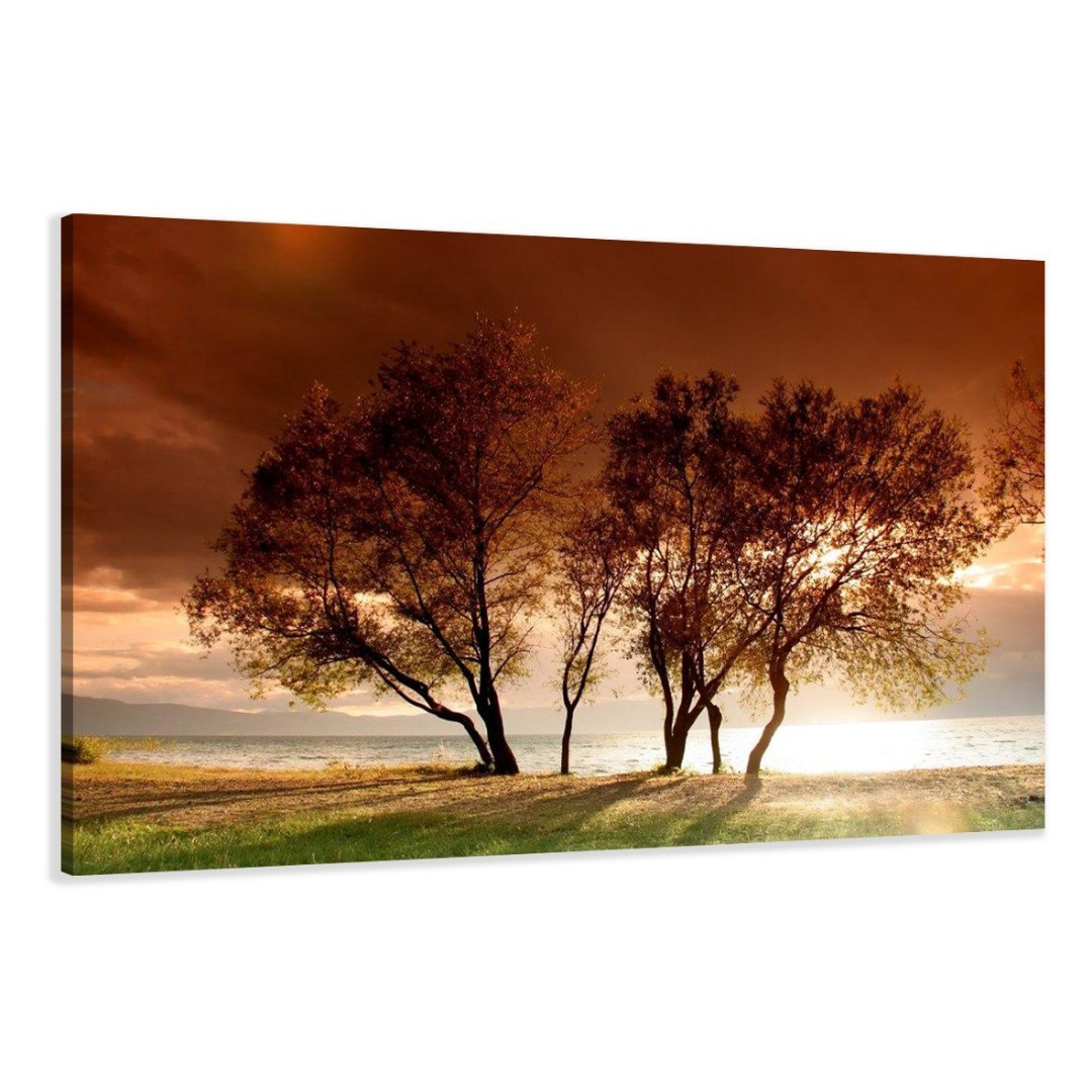 Vernietigen datum Diakritisch Natuur 120 x 80 cm - Gratis verzending!